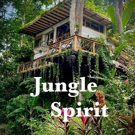 Jungle Spirit Treehouse Cahuita Exterior foto