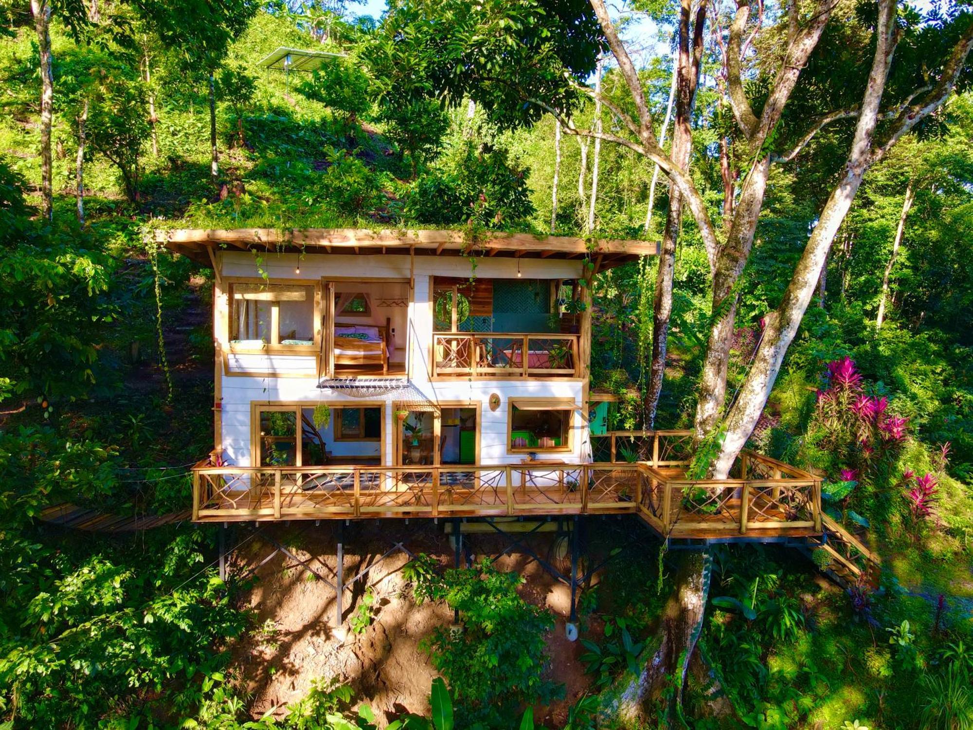 Jungle Spirit Treehouse Cahuita Exterior foto