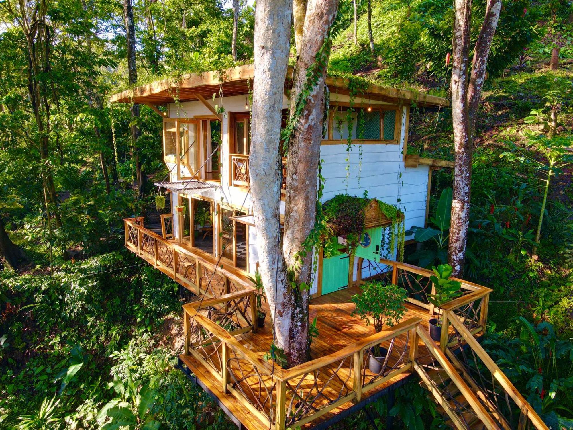 Jungle Spirit Treehouse Cahuita Exterior foto