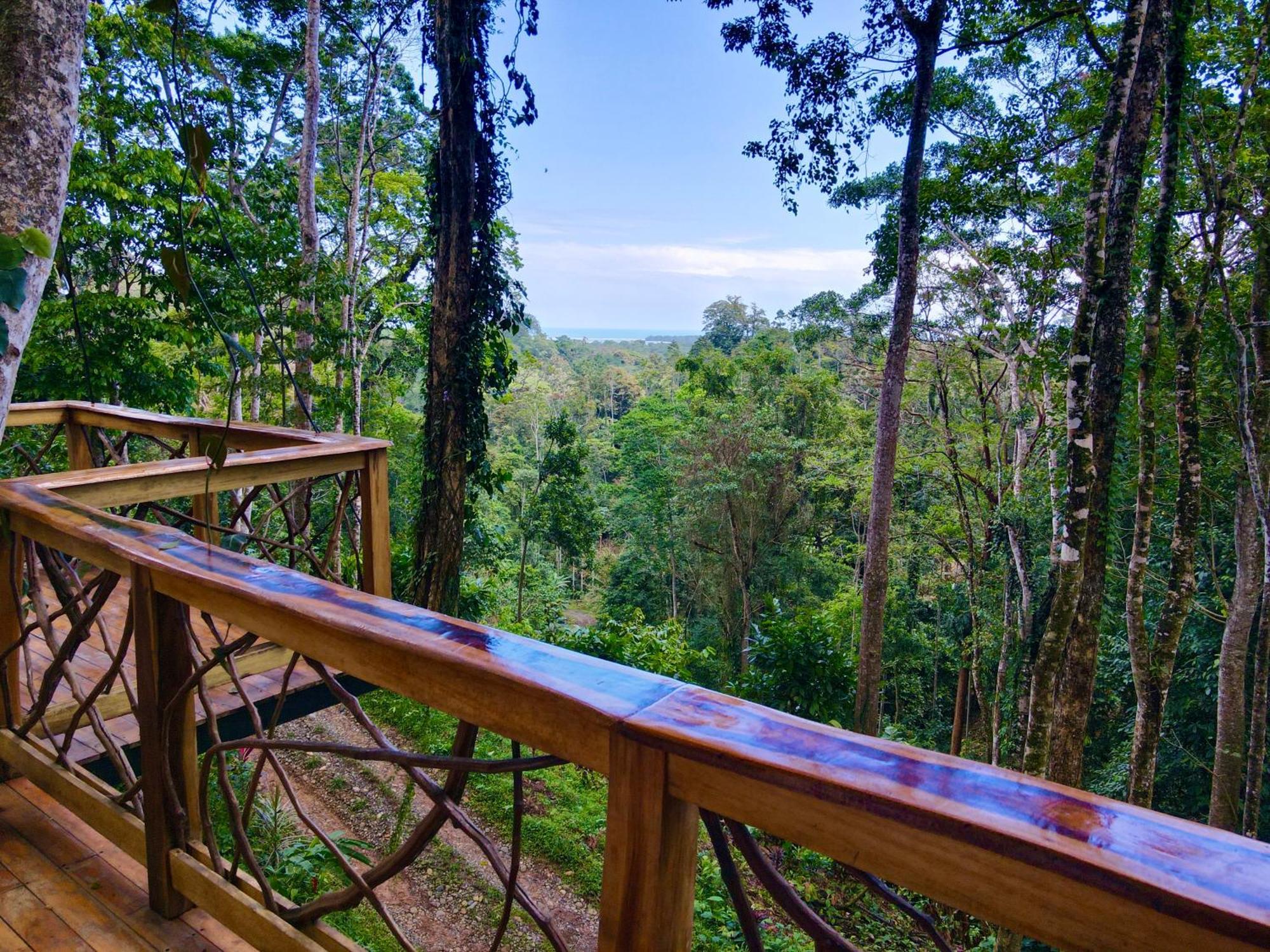 Jungle Spirit Treehouse Cahuita Exterior foto