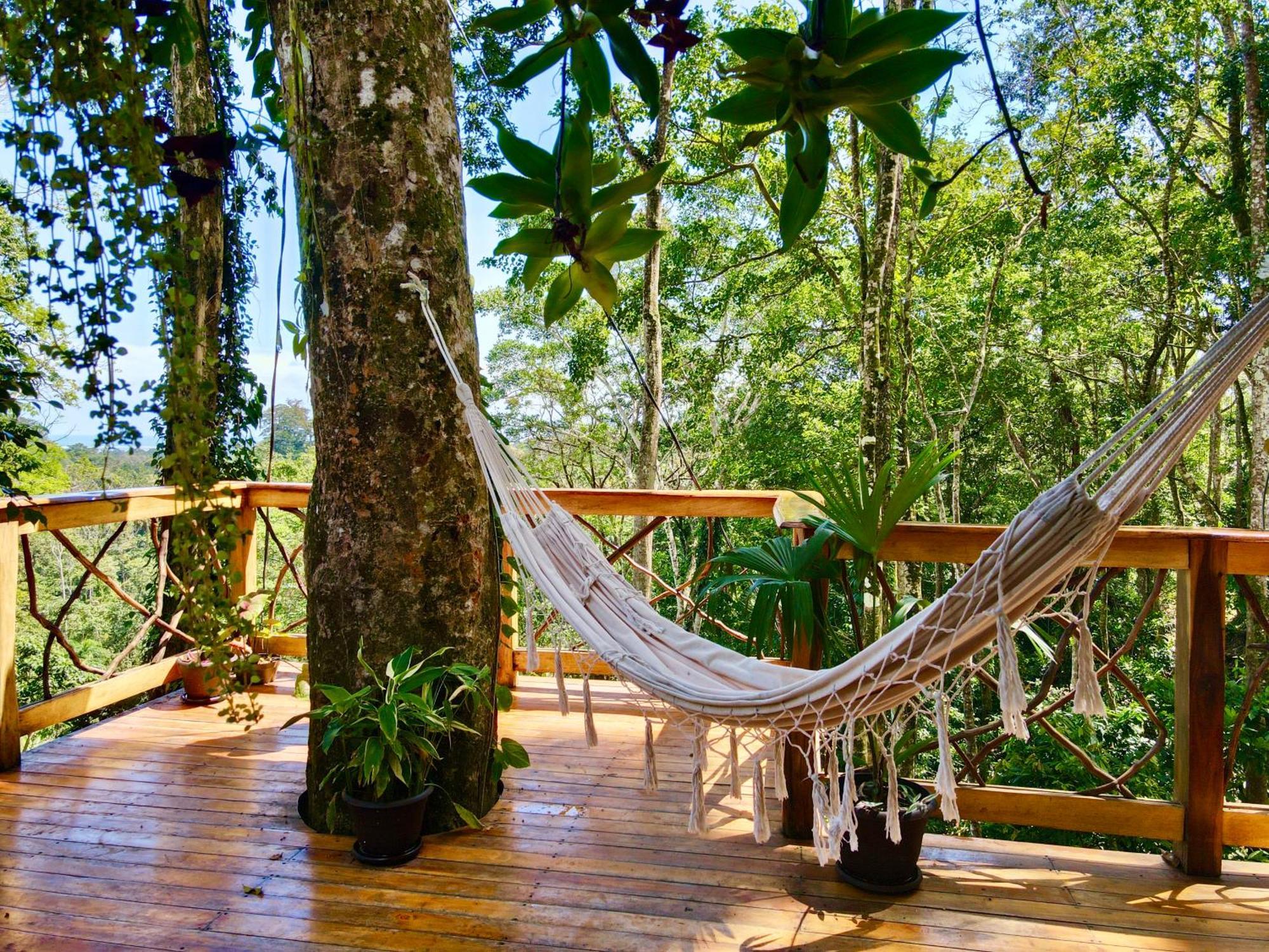 Jungle Spirit Treehouse Cahuita Exterior foto