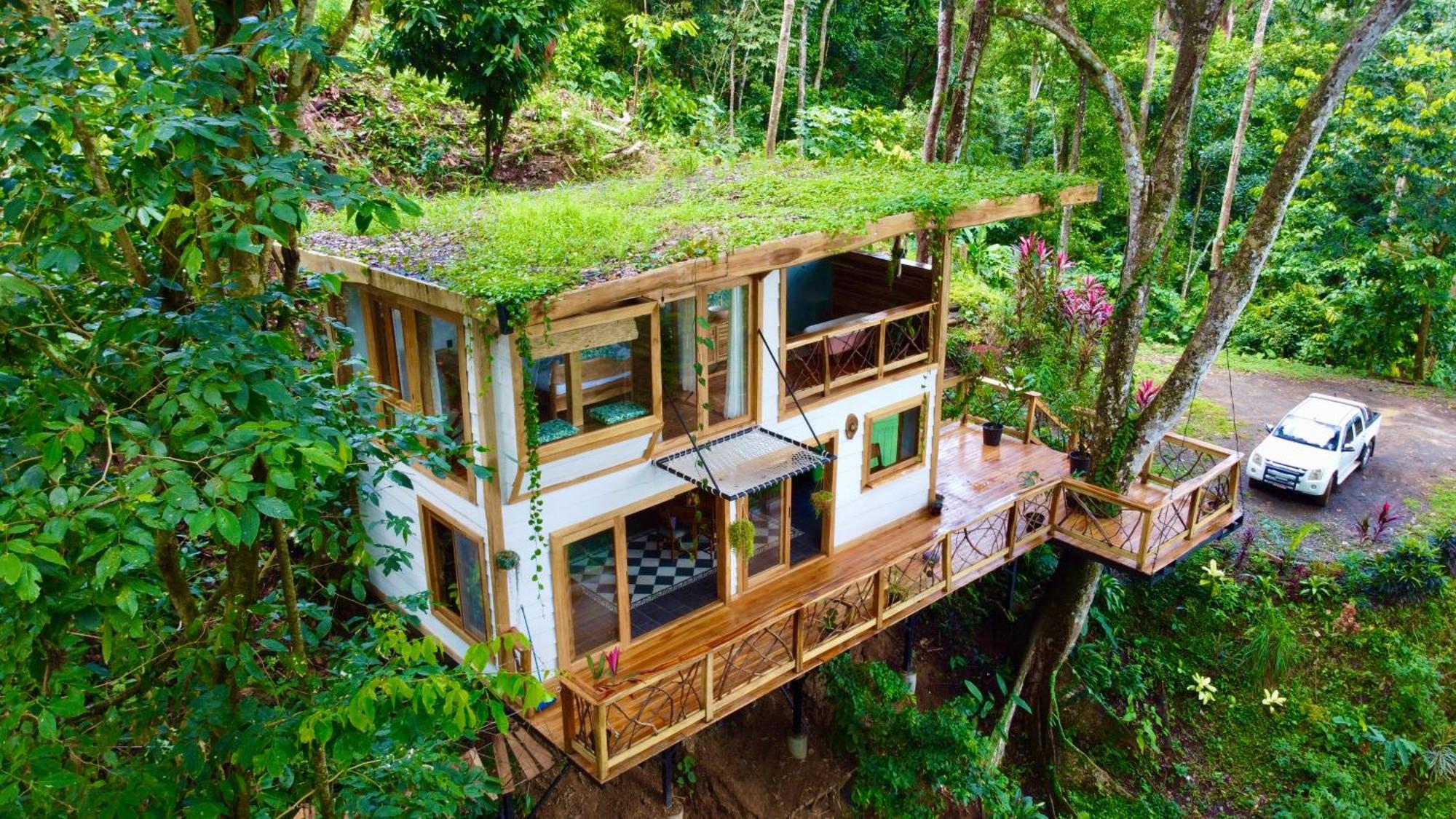 Jungle Spirit Treehouse Cahuita Exterior foto