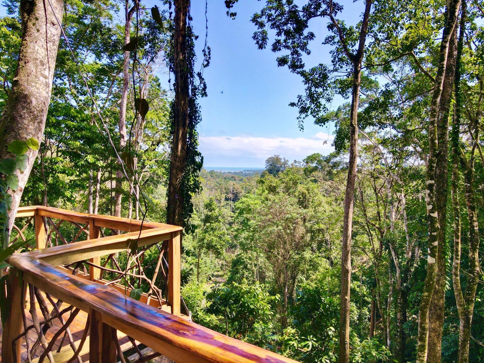 Jungle Spirit Treehouse Cahuita Exterior foto