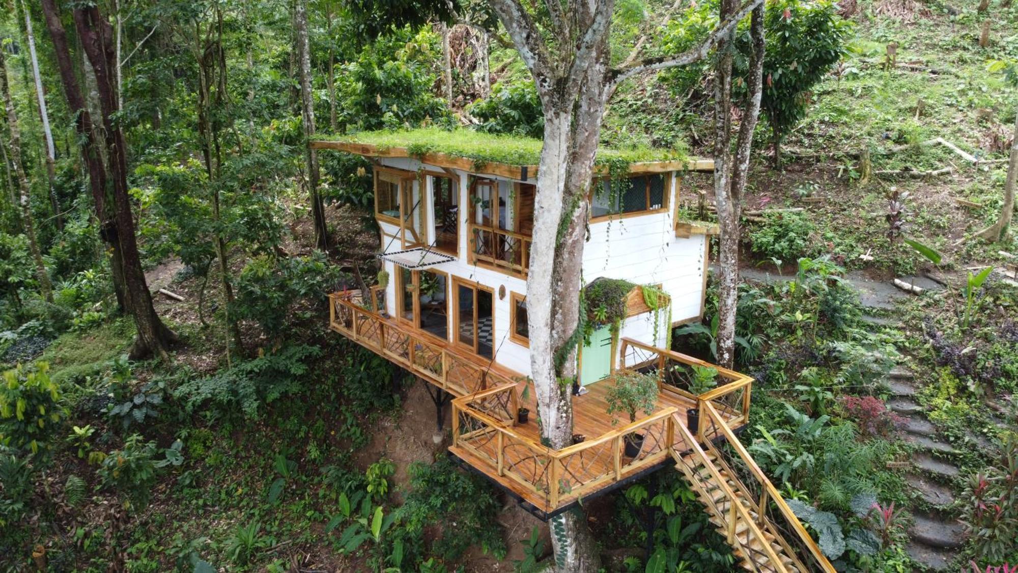 Jungle Spirit Treehouse Cahuita Exterior foto