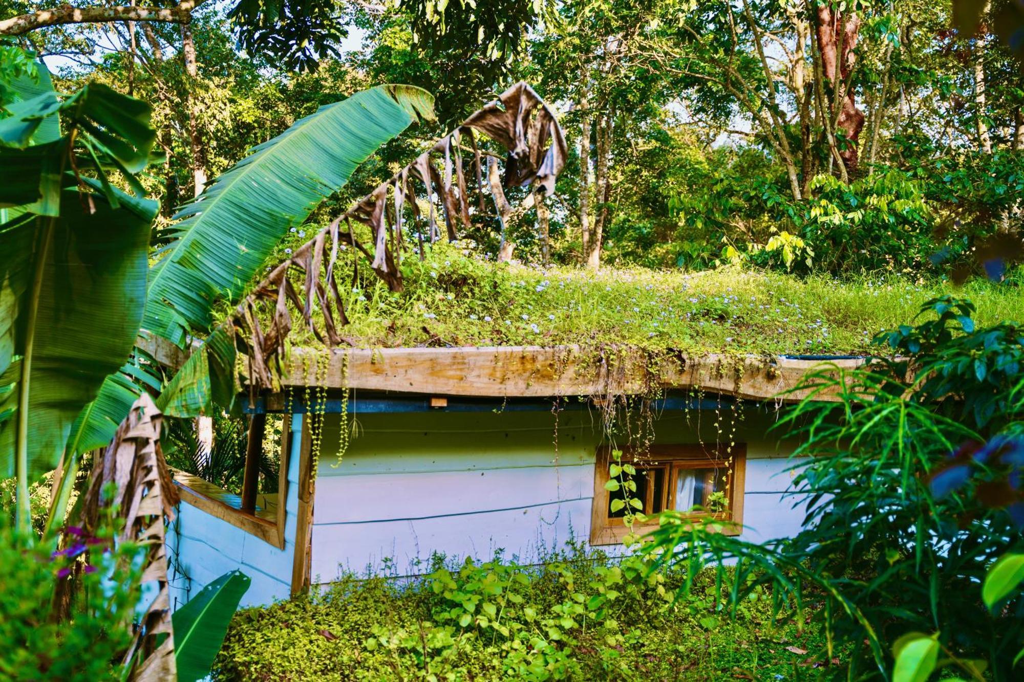 Jungle Spirit Treehouse Cahuita Exterior foto