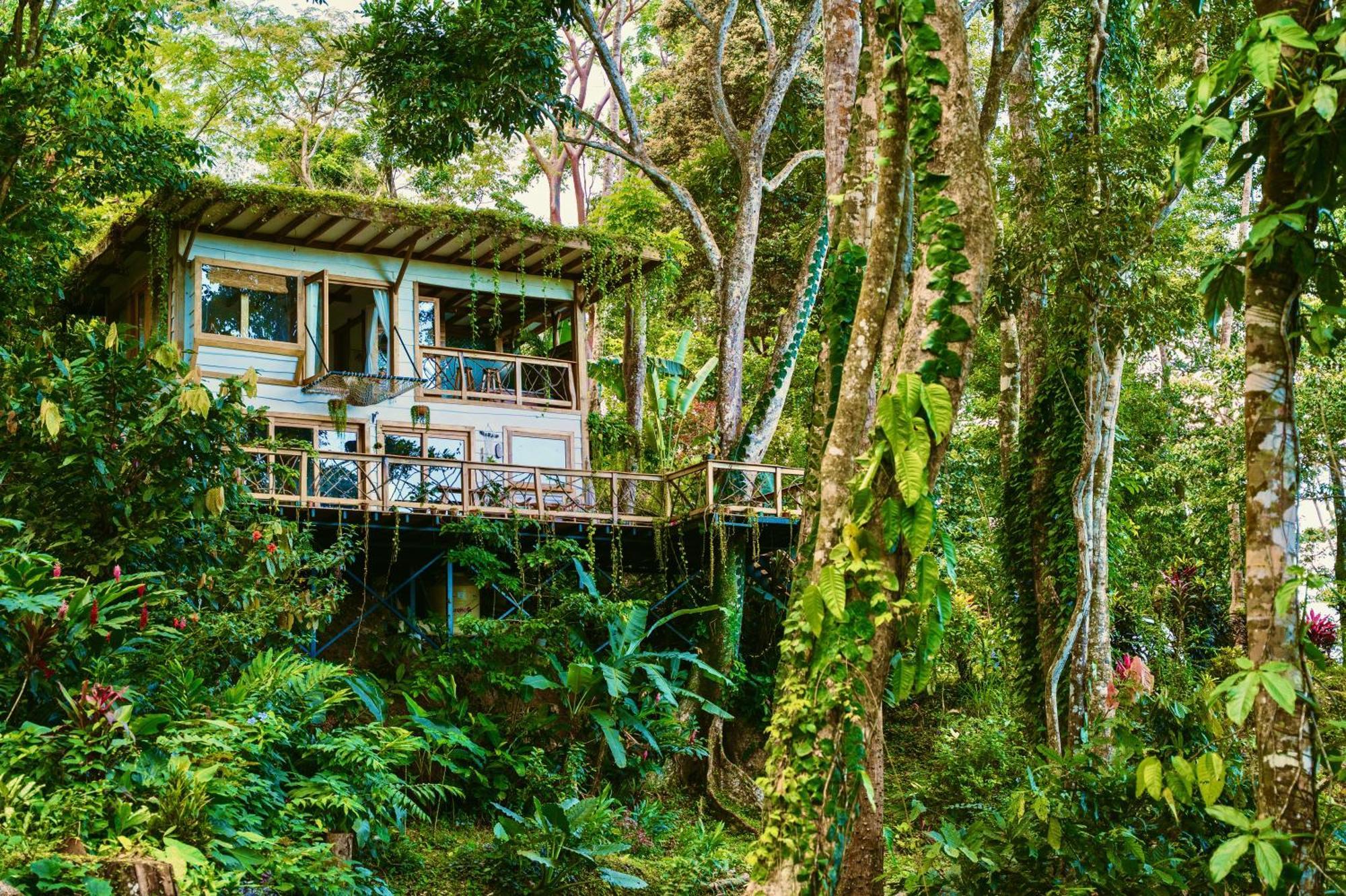 Jungle Spirit Treehouse Cahuita Exterior foto