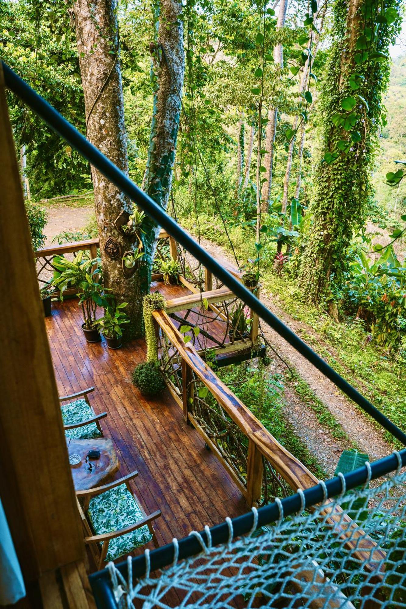 Jungle Spirit Treehouse Cahuita Exterior foto