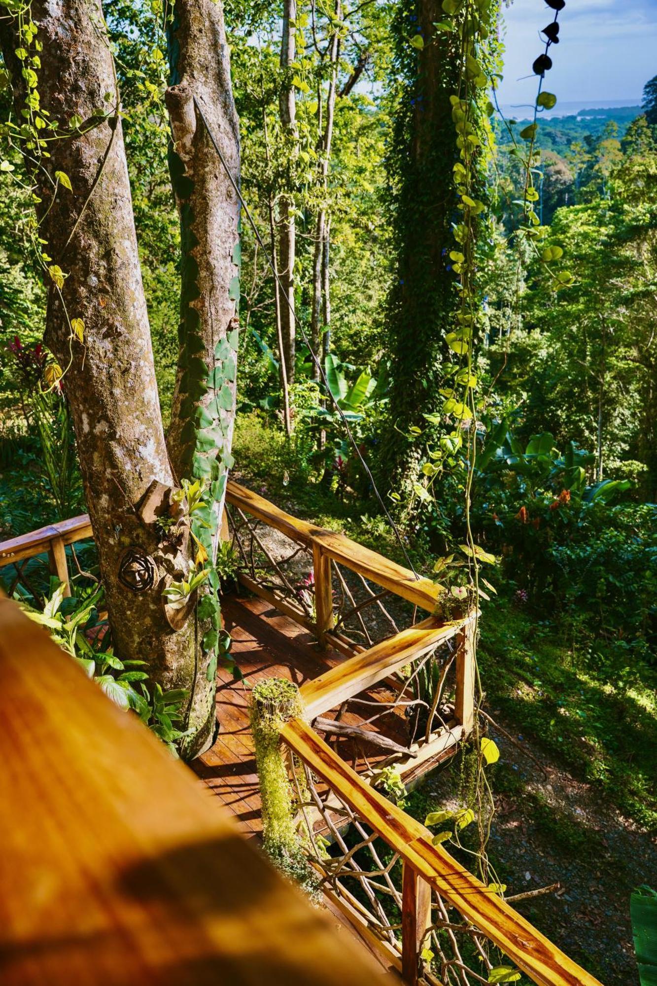 Jungle Spirit Treehouse Cahuita Exterior foto