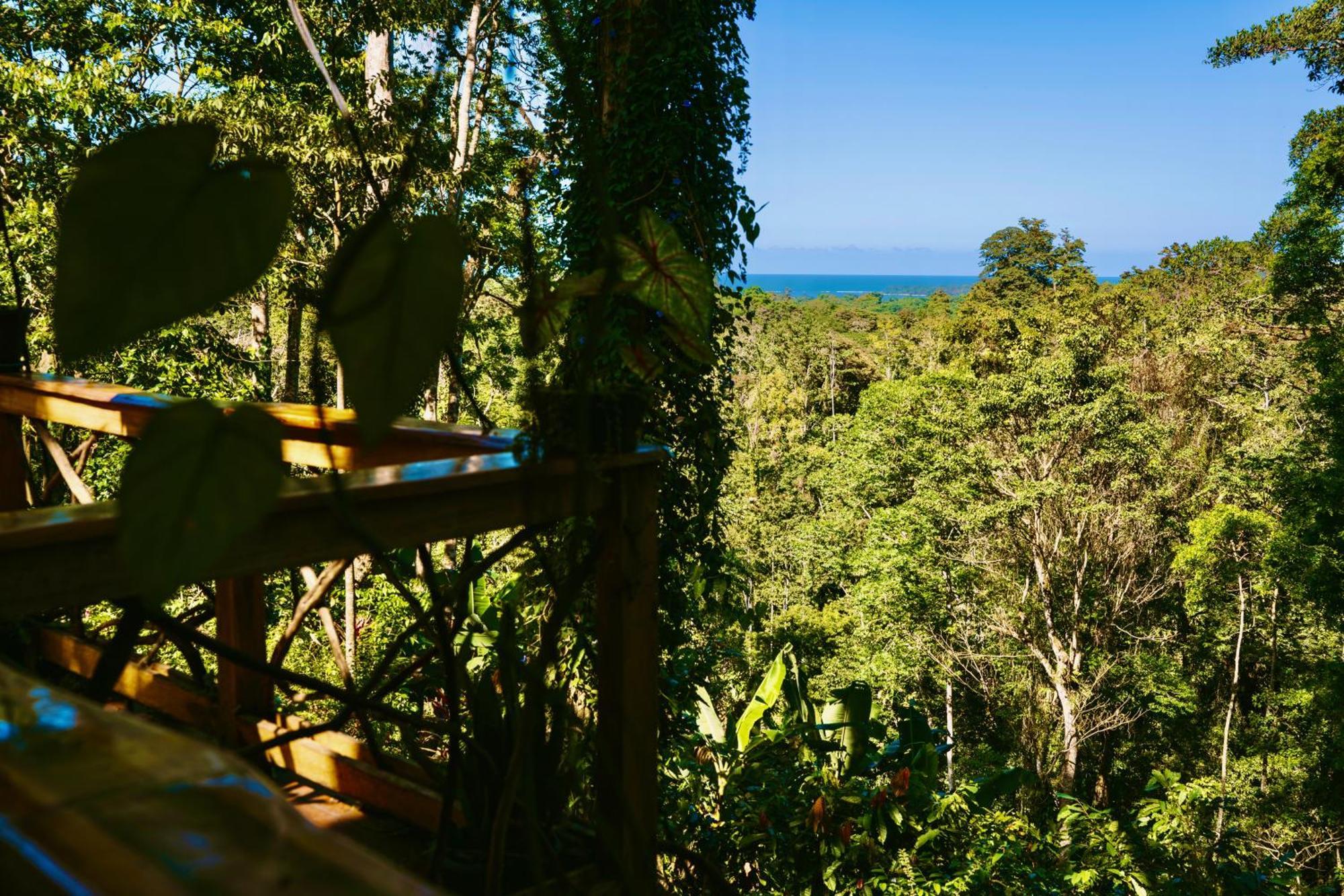 Jungle Spirit Treehouse Cahuita Exterior foto