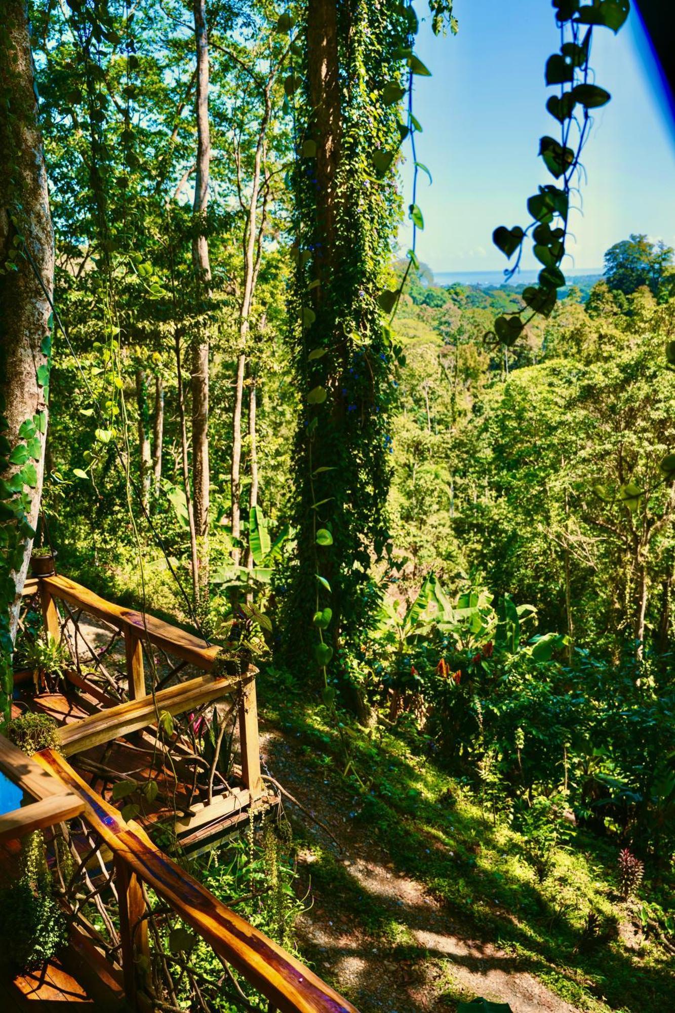Jungle Spirit Treehouse Cahuita Exterior foto