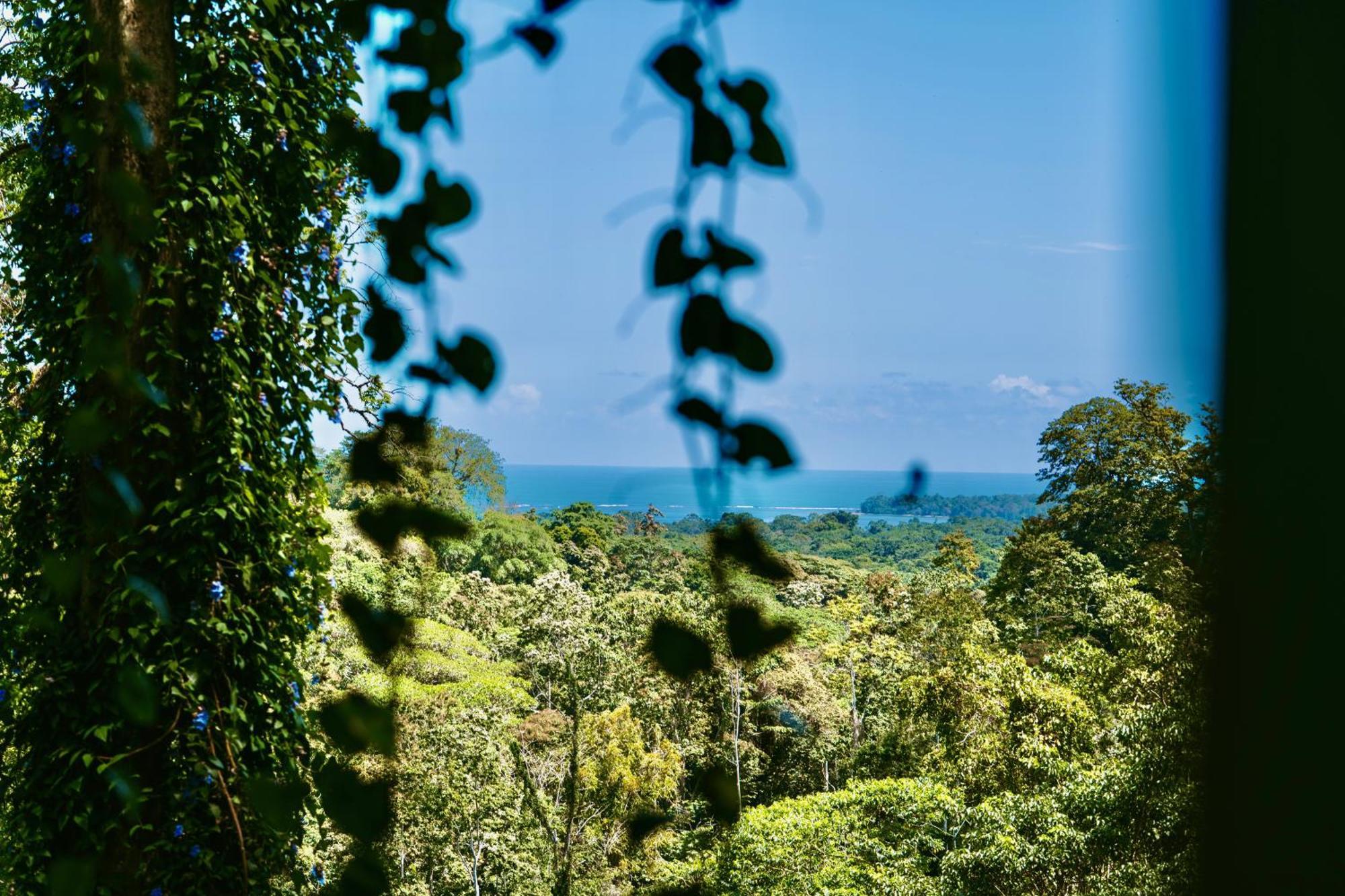 Jungle Spirit Treehouse Cahuita Exterior foto